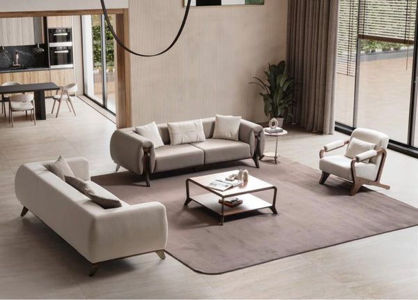 Salon de luxe 3+3+1+1places