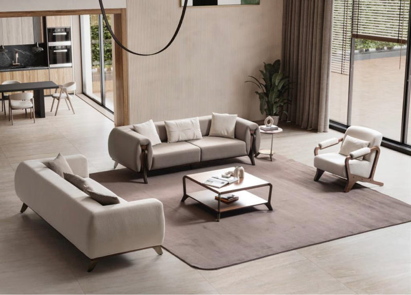 Salon de luxe 3+3+1+1places
