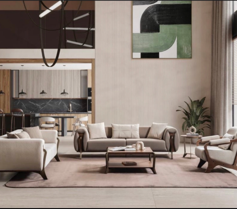 Salon de luxe 3+3+1+1places