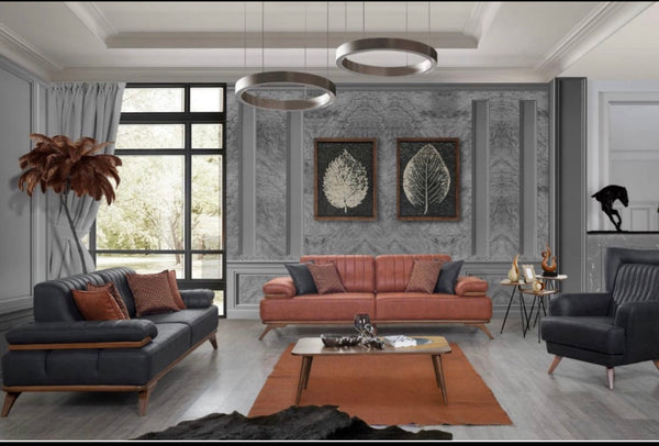 Salon de luxe 3+3+1+1places
