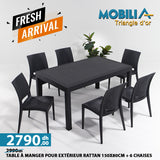 PACK RATTAN JARDIN 6 CHAISES