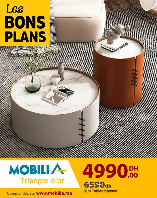 Duo table basse