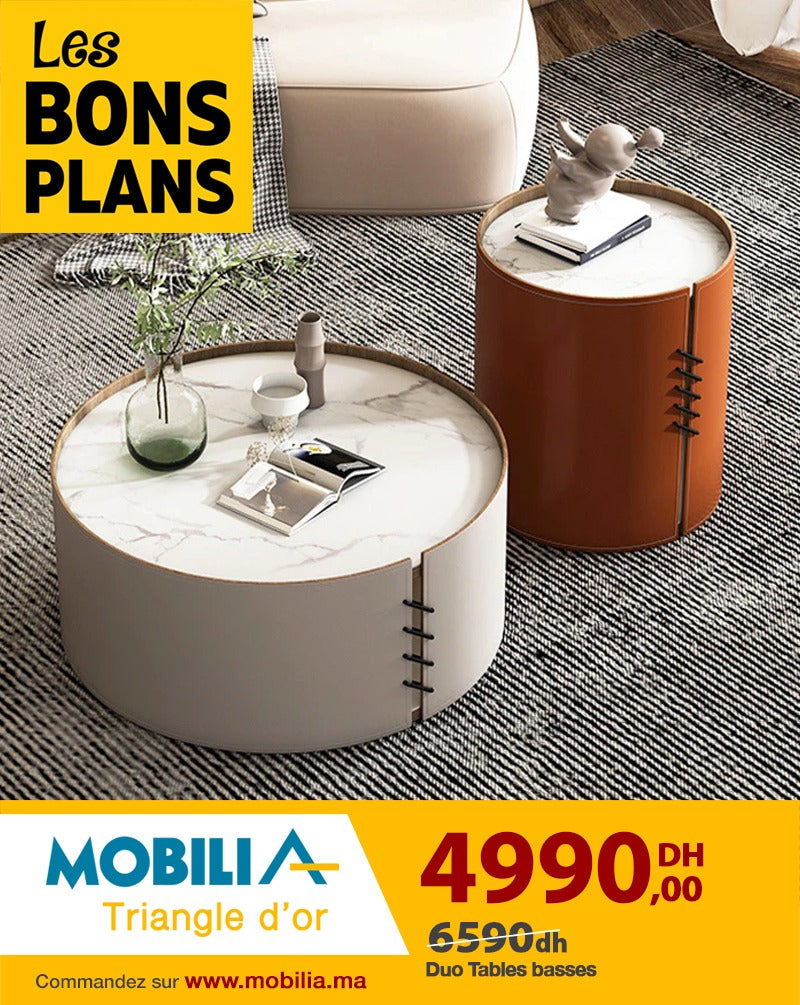 Duo table basse