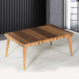 TABLE BASSE 120/70 CM